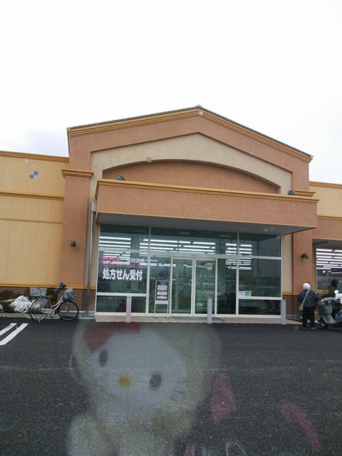 2012年2月26日のタッチ 白椿のロケタッチblog