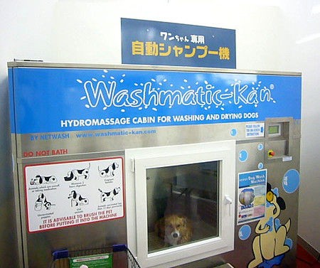 レンジでチンはしない ジョイフル本田の全自動犬洗い機ドッグウォッシュマシンが話題に 白井市速報 ﾉ