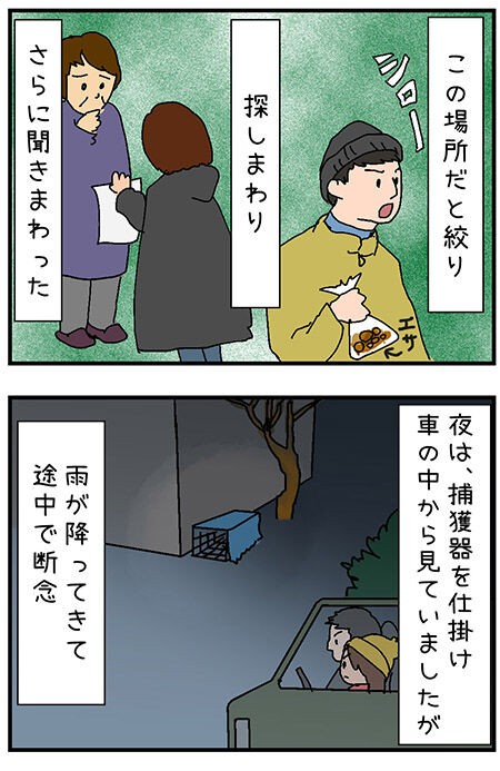 迷子猫探しの記録４２ ここにいるはずなのに 全く猫の気配のない場所 迷子猫探しの記録 シロチャンどこいった