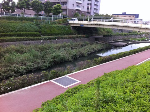 バス釣り 新芝川 曇り えびみそ釣行記