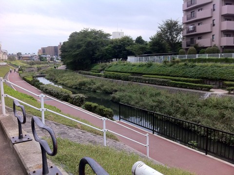 バス釣り 新芝川 曇り えびみそ釣行記