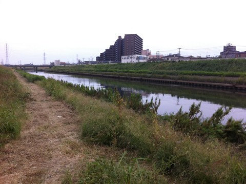 バス釣り 新芝川 曇り えびみそ釣行記