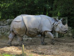 手作り感のある動物園 Dierenpark Amersfoort Amstelveen Blog