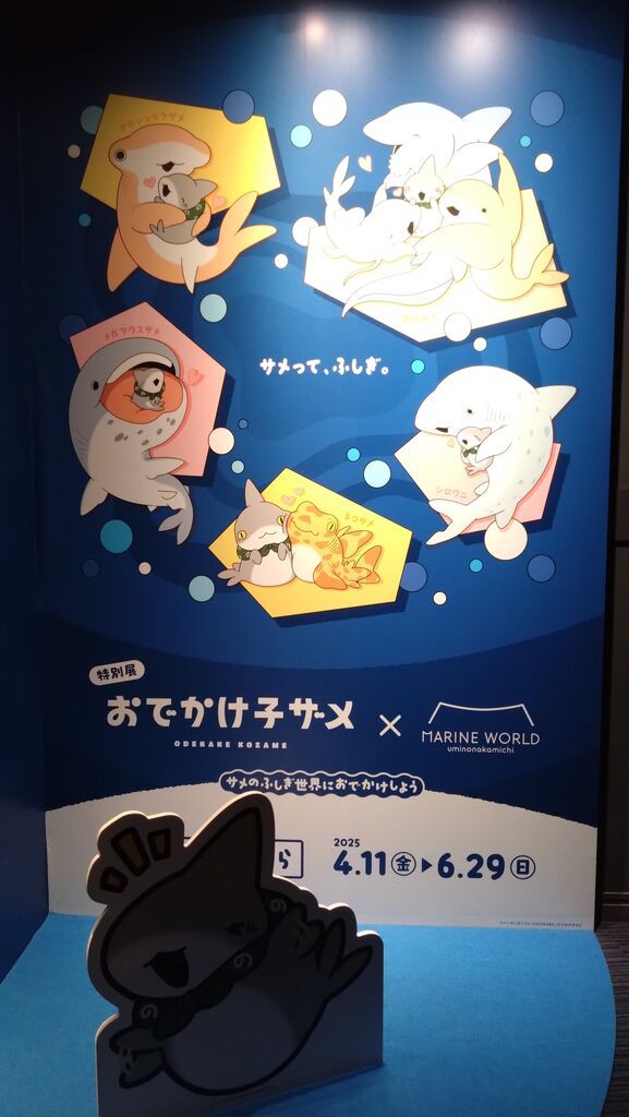 おでかけ子ザメコラボ！マリンワールド海の中道に行ってきた話