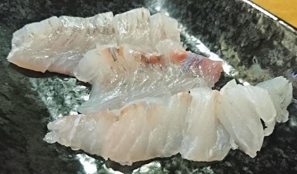 170時間 グレ メジナ を1週間寝かしました 一週間熟成の味やいかに 熟成魚 猪丸の釣りとグルメと