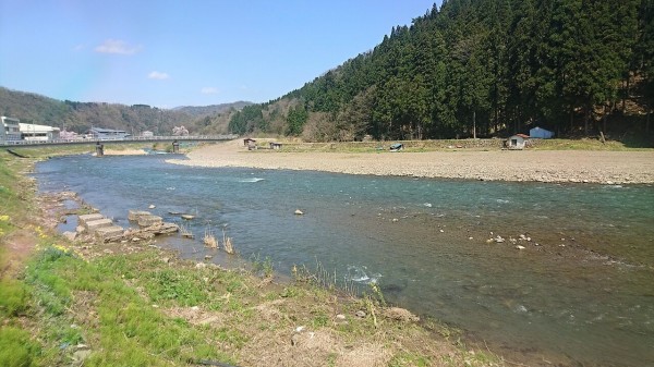 21年4月釣行記録 福井のイワナ釣り 日野川水系の渓流釣り 渓流ルアー 猪丸の釣りとグルメと