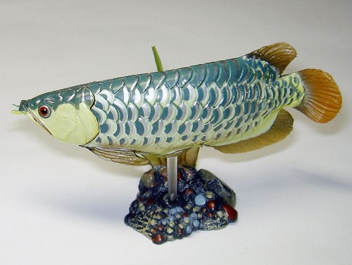 ユージン「原色淡水魚図鑑1 [改訂版] 」レビュー : 食玩トピックス
