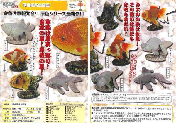 原色鑑賞魚図鑑Ⅰ チョウテンガン （内袋未 ユージン 原色観賞魚