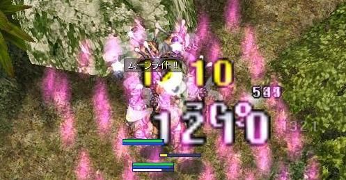 ラグナロクオンライン ホムs放置狩り ノーリロ