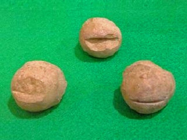 旧石器・縄文・弥生・古墳時代の出土品 菊川市埋蔵文化財センター