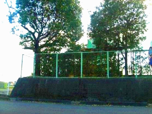 幕末 文久元年(1861年)に設置 三河国西尾藩 小杉陣屋跡、代官 磯野豊之