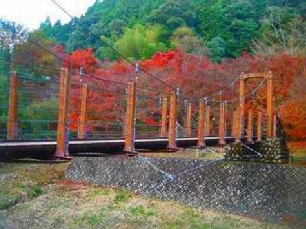 吊り橋のある紅葉の名所 滝ノ谷不動峡 もみじ広場 静岡県藤枝市瀬戸ノ谷 00shizuoka静岡観光おでかけガイド