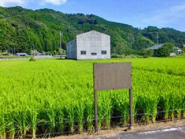 戦国時代 刺さった矢から竹が生えた伝説 矢竹やぶ 静岡県藤枝市岡部町 旧志太郡岡部町 殿 00shizuoka静岡観光おでかけガイド