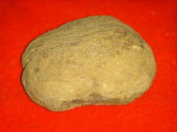 縄文時代の土器,石器など遺跡の出土品 沼津市文化財センター展示室