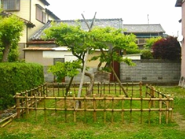 一木系早生次郎柿 選抜発見の地 一木藤太郎屋敷跡 (静岡県周智郡森町