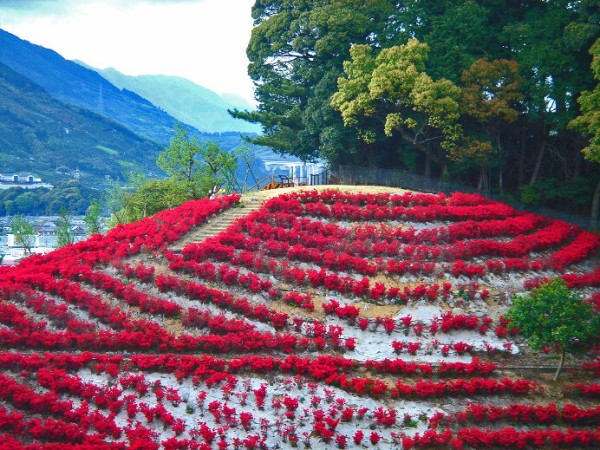 即決/静岡県榛原郡茶業史/昭和62年10月10日発行 - 農学
