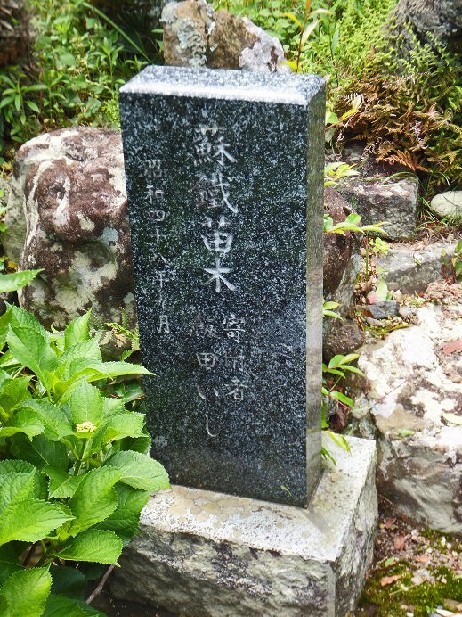 江戸後期の南画家　遠江国　静岡県西部生　渡辺崋山弟子『◆平井顕斎肉筆　★淡彩水墨山水図（米法山水図）＊紙本杉柾共箱付』掛軸　中国 渡辺崋山の弟子 南画家 平井顕斎の記念碑 曹洞宗 日照山 円成寺 (静岡