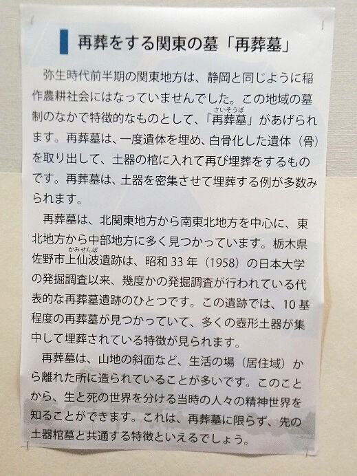 木棺墓を初公開『令和4年度 特別展 静岡に眠る弥生時代の開拓者 木棺墓を初公開『令和4年度 特別展 静岡に眠る弥生時代の開拓者