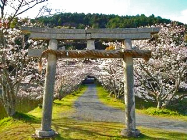 移築された遠州相良藩 田沼意次の相良城 荒神社の鳥居 櫻宮神社 (静岡