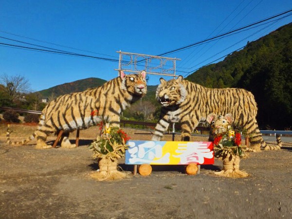 人気のジャンボ干支 巨大なトラの前で記念写真 2022年 寅 (静岡県島田