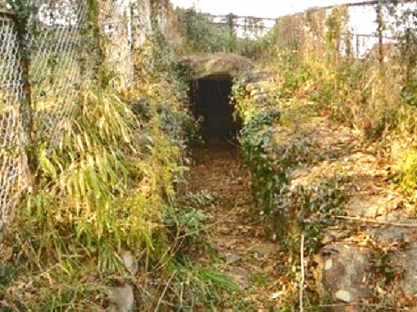 鉄鍔、岩に波に植物図、金、銀象嵌、 豪華な装飾大刀,馬具,甲冑 鉄鍔、岩に波に植物図、金、銀象嵌、 豪華な装飾大刀,馬具,甲冑