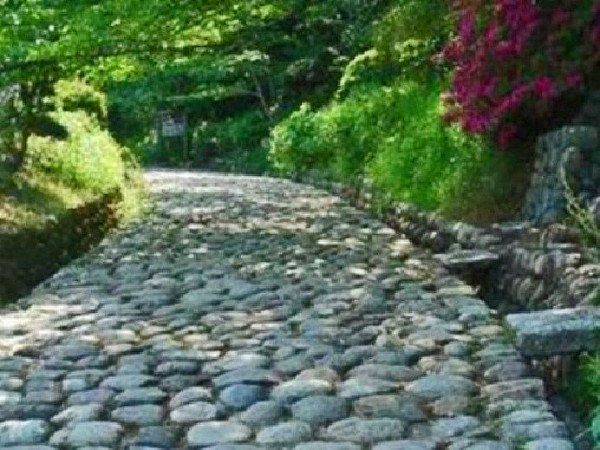 江戸時代に敷設された峠道の石畳 市指定史跡 旧東海道の金谷坂石畳