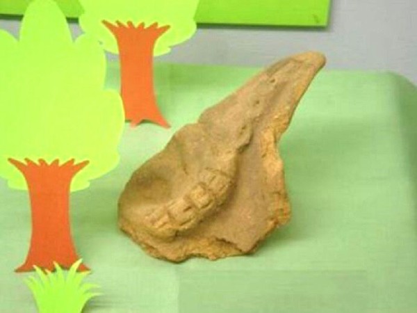 動物がデザインされた遺跡の出土品を展示『静岡県埋蔵文化財センター