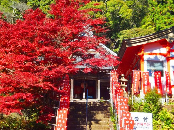 奈良時代 神亀3年(726年)に行基が創建 駿河三十三観音霊場 第1番札所