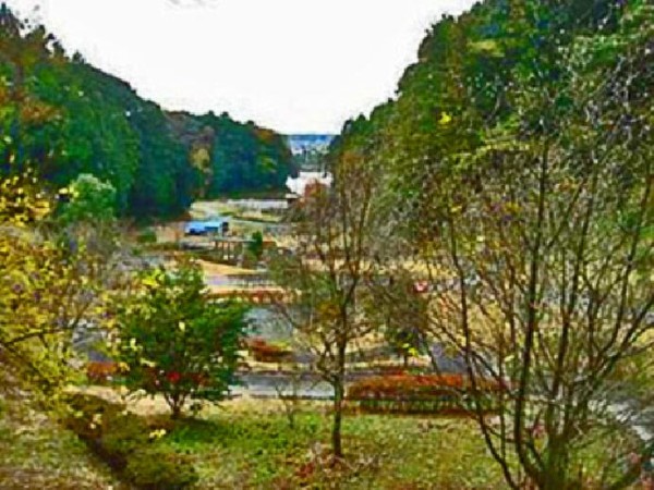 自然地形の散策コース 遊具のある芝生広場 総合体育館さんりーな 大池公園 静岡県掛川市大池2150番地ほか 00shizuoka静岡観光おでかけガイド