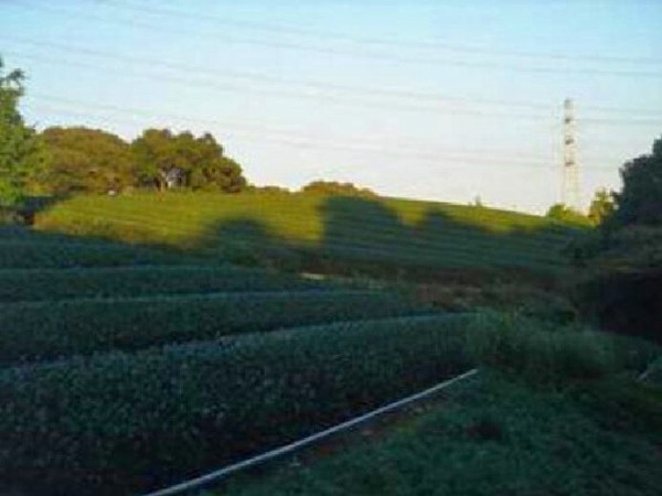 古墳時代中期(5世紀頃) 珍しい馬具の三環鈴が出土 山ヶ谷古墳 (静岡県