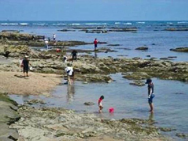 夏休みに人気 潮だまりで海の生き物を捕まえよう 御前埼灯台下の磯 静岡県御前崎市御前崎 00shizuoka静岡観光おでかけガイド