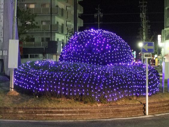 幸せを呼ぶとされるカツオくんを探そう！！ 約7万個のLED電飾が美しい