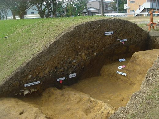 軒丸瓦,軒平瓦が出土「平成24年度 国指定特別史跡 遠江国分寺跡(とおと