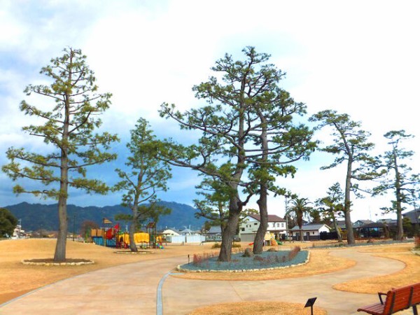 旧東海道の松並木 複合遊具 多目的広場 水守中央公園 静岡県藤枝市水守3 26 00shizuoka静岡観光おでかけガイド