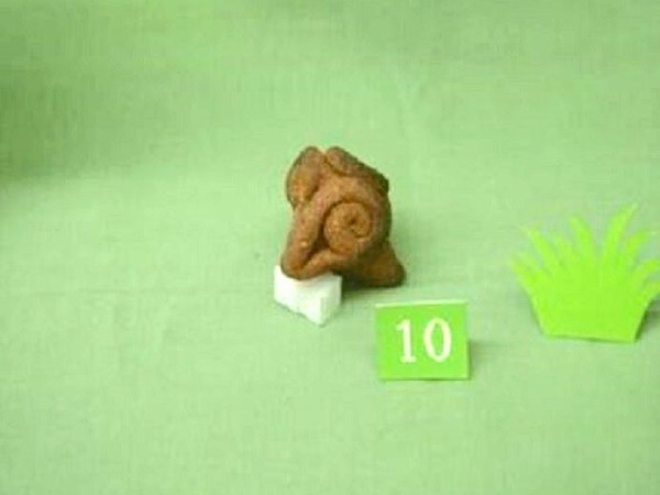 動物がデザインされた遺跡の出土品を展示『静岡県埋蔵文化財