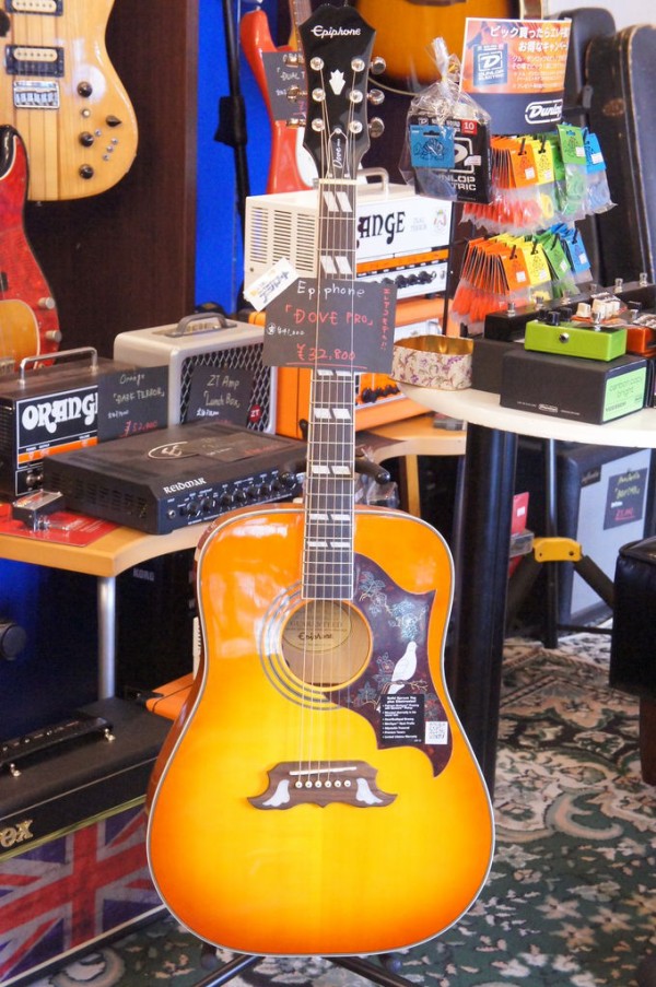 鳩の踊り Epiphone / DOVE PRO : 松栄堂楽器【燃えよギター】