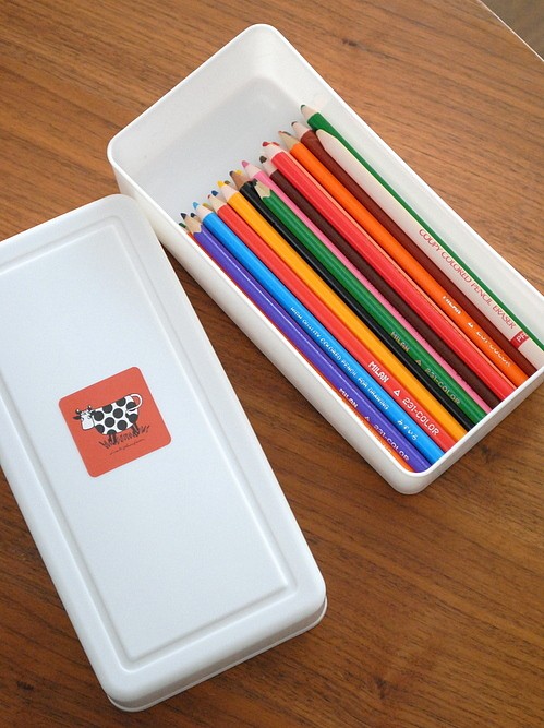 収納に便利なダイソー粘土ケースの使い道 おのぼり主婦の暮らす見聞録