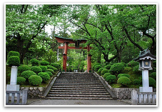 パワースポット弥彦神社 願いかなう石 おのぼり主婦の暮らす見聞録