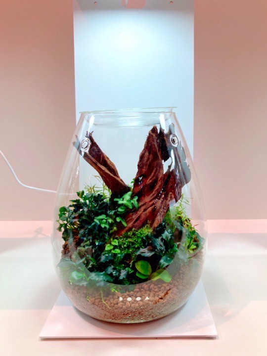 ADA ガラス製品セット TOKYU PLAZA GINZAの中にあるADA LABは、ガラスケースとLEDで