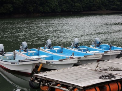 仮屋湾のレンタルボート1艘7 000円 Fishing Boat Style We Are Coast Patrol 仮屋湾のレンタルボート1艘7 000円 Fishing Boat Style We Are Coast Patrol