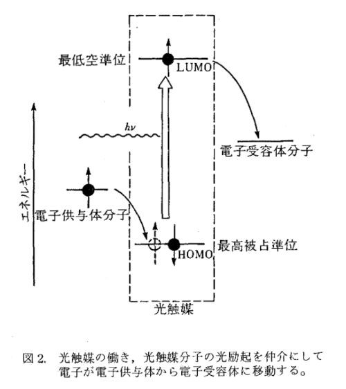 光合成の再勉強 その８ 鈴木頌の発言 国際政治 歴史 思想 医療 音楽