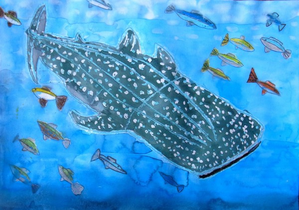 おおきなジンベイザメ Show Show Kids Blog