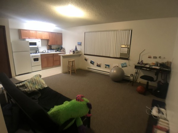 アメリカで一人暮らし ワンルームってどんな感じなの Hoz Shota