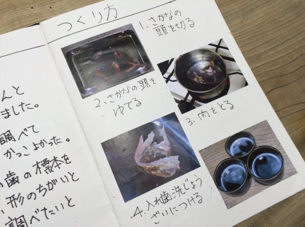 釣行口実集 夏休みの自由研究に魚の歯の標本 : blue tetristの釣りノート