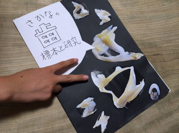 魚 歯 標本 自由研究 Www Wp Snigre Com