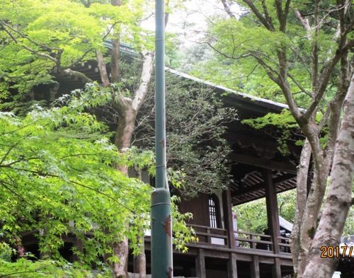 栖賢寺に吹く風 栖賢寺坐禅会参禅記 しゅ る之助の夢日記