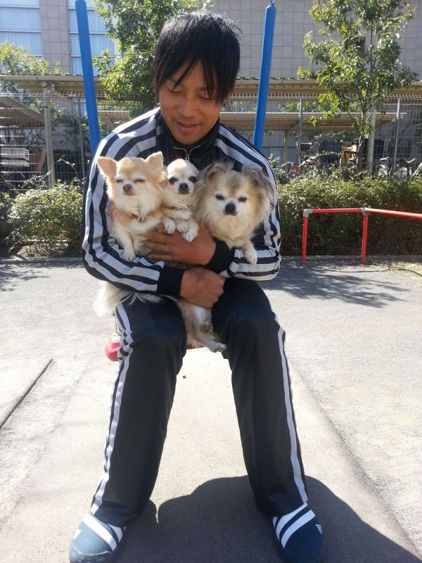 なんj民 犬は柴犬だけは好きだわ 今日の立ち読みまとめ