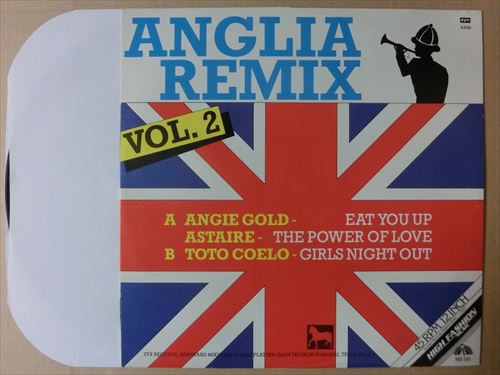 V A Angie Gold And Astaire Toto Coelo Anglia Remix Vol 2 Eat You Up The Power Of Love Girls Night Out 12 S538 Siestarecordブログ