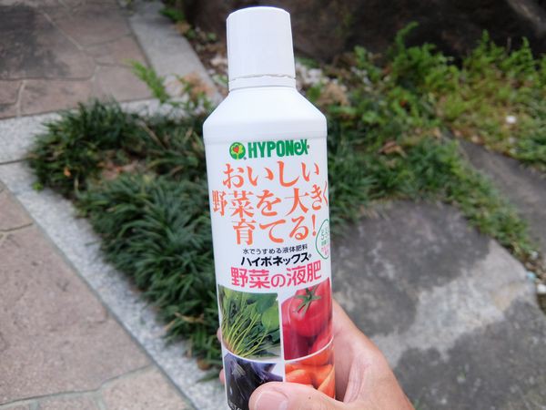 ミニトマトに追肥 ｆｌｈｘ症好群