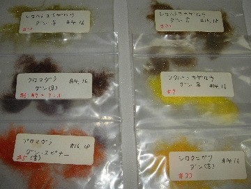 水生昆虫とフライ・フィッシング : 西鹿庵（さいろくあん）・ラボ外雑記帳